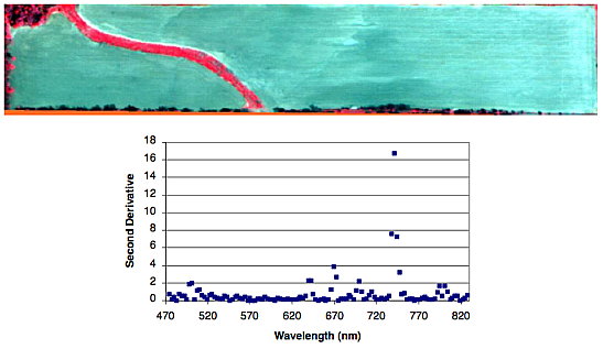 Hyperspectral image of bare soil.
