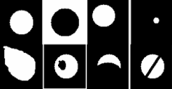 Spot morphologies - types