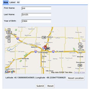 DSE web form: Input web form for entering temporal, spatial and content information.