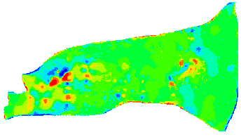 Recharge/discharge map of the Buena Vista Basin.