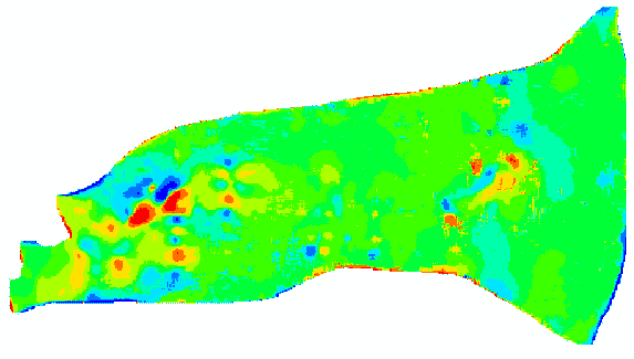 Recharge/discharge map of the Buena Vista Basin