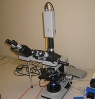 Microscope with Sony Camera